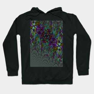 Blue iris stone fractal Hoodie